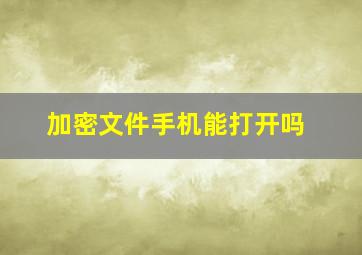 加密文件手机能打开吗