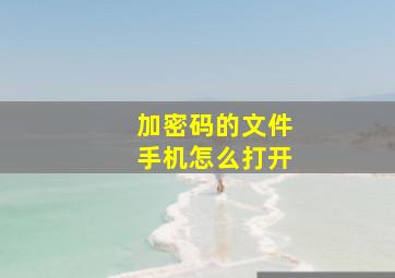 加密码的文件手机怎么打开