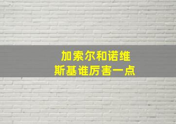 加索尔和诺维斯基谁厉害一点