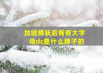 加绒棉袄后背有大字母dc是什么牌子的