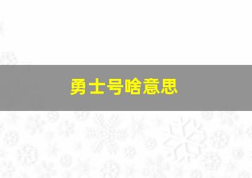 勇士号啥意思