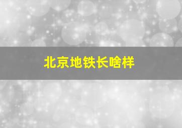 北京地铁长啥样