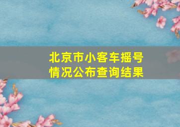 北京市小客车摇号情况公布查询结果