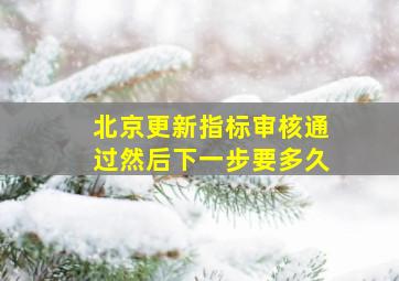 北京更新指标审核通过然后下一步要多久