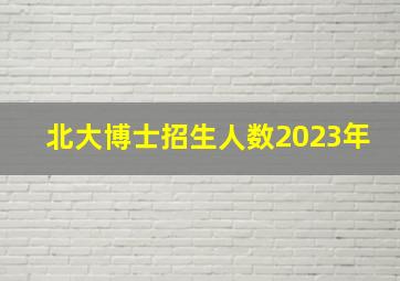 北大博士招生人数2023年