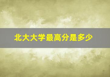 北大大学最高分是多少