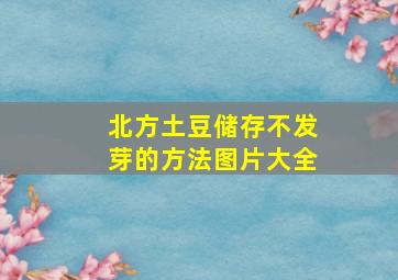 北方土豆储存不发芽的方法图片大全