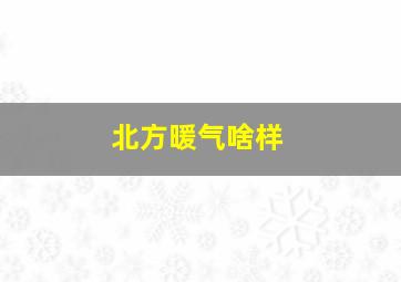 北方暖气啥样