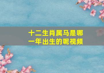 十二生肖属马是哪一年出生的呢视频