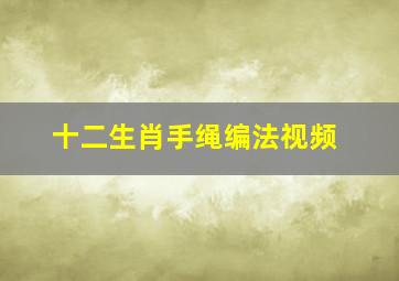 十二生肖手绳编法视频