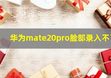 华为mate20pro脸部录入不了