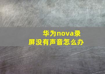 华为nova录屏没有声音怎么办