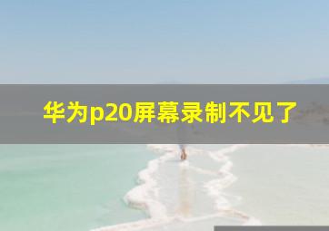 华为p20屏幕录制不见了