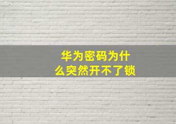 华为密码为什么突然开不了锁