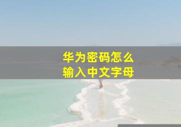 华为密码怎么输入中文字母