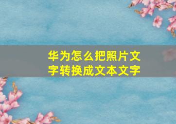 华为怎么把照片文字转换成文本文字