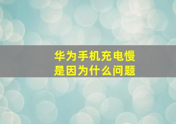 华为手机充电慢是因为什么问题