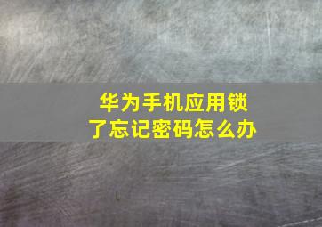 华为手机应用锁了忘记密码怎么办