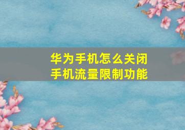 华为手机怎么关闭手机流量限制功能