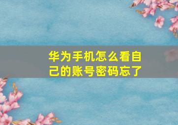 华为手机怎么看自己的账号密码忘了