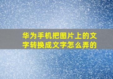 华为手机把图片上的文字转换成文字怎么弄的