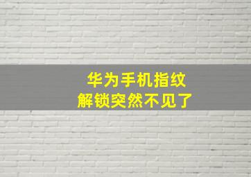 华为手机指纹解锁突然不见了