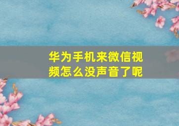 华为手机来微信视频怎么没声音了呢