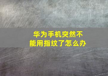 华为手机突然不能用指纹了怎么办