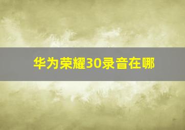 华为荣耀30录音在哪