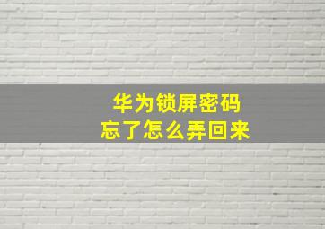 华为锁屏密码忘了怎么弄回来