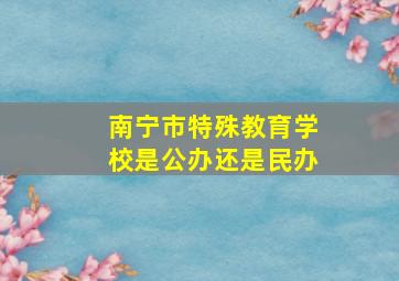 南宁市特殊教育学校是公办还是民办