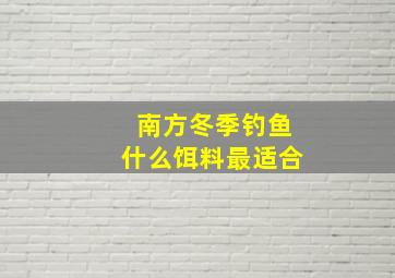 南方冬季钓鱼什么饵料最适合