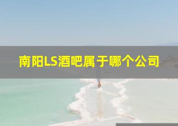 南阳LS酒吧属于哪个公司