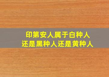 印第安人属于白种人还是黑种人还是黄种人