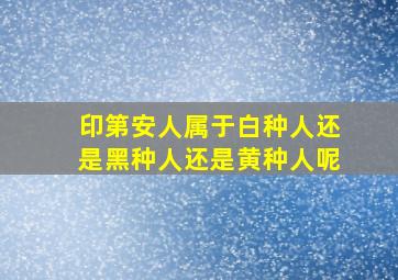 印第安人属于白种人还是黑种人还是黄种人呢