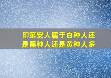 印第安人属于白种人还是黑种人还是黄种人多