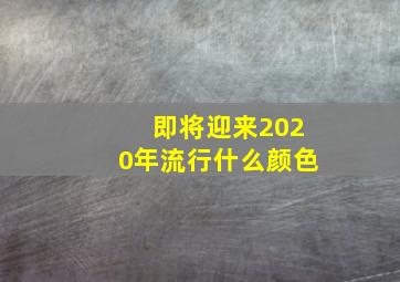 即将迎来2020年流行什么颜色