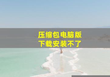 压缩包电脑版下载安装不了