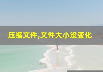 压缩文件,文件大小没变化