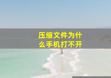 压缩文件为什么手机打不开