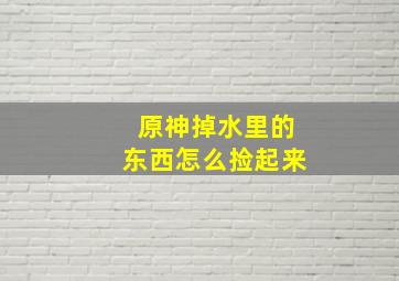 原神掉水里的东西怎么捡起来