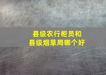 县级农行柜员和县级烟草局哪个好