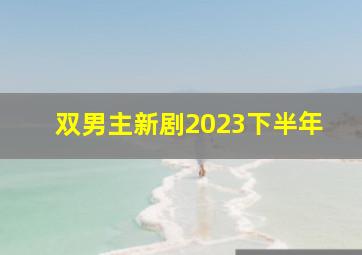 双男主新剧2023下半年