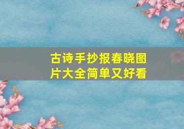 古诗手抄报春晓图片大全简单又好看