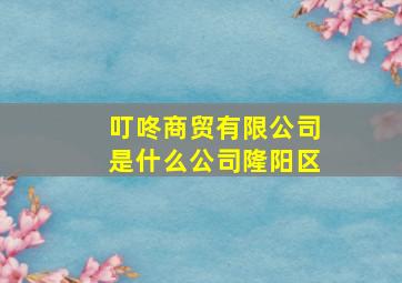 叮咚商贸有限公司是什么公司隆阳区