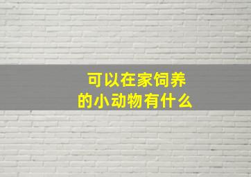 可以在家饲养的小动物有什么