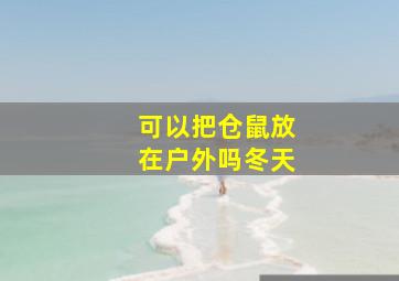 可以把仓鼠放在户外吗冬天