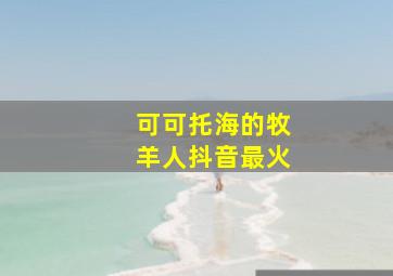 可可托海的牧羊人抖音最火