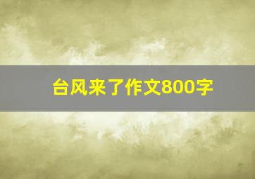 台风来了作文800字