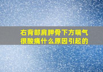 右背部肩胛骨下方喘气很酸痛什么原因引起的